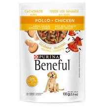 Beneful Cachorro Pollo y Arroz