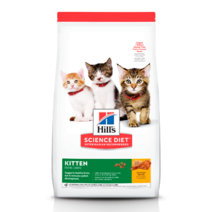 Hills SD Kitten Original