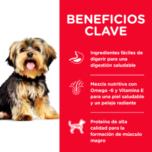 Hills SD Adult Small Paws - Imagen 5