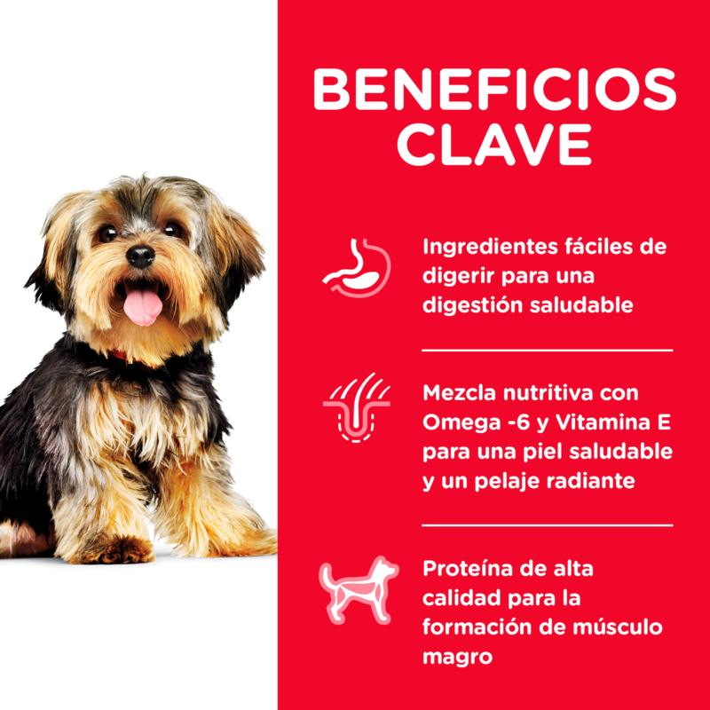Hills SD Adult Small Paws - Imagen 5