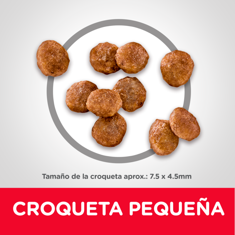 Hills SD Adult Small Paws - Imagen 6